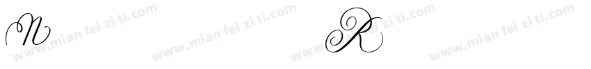 Neoplus R字体转换